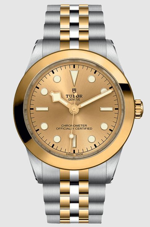 Tudor Black Bay 39 S&G 79663-0005 Replica Watch